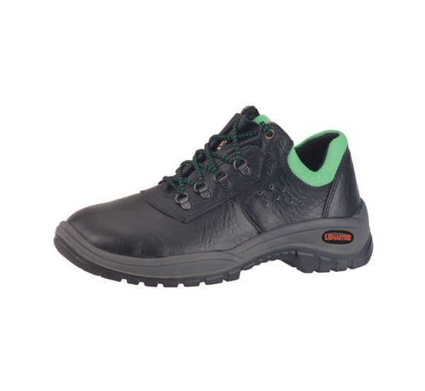 Apollo Sport 8050